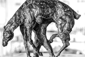 Kraftmeyer von Tündern