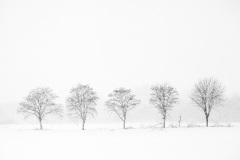 Hameln-20101205-154642-IMG_2010-12-05-15-46-42_40841-Bearbeitet