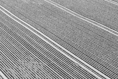 Hameln-20190906-161355-_9060228