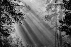 Emmerthal-20241103-095216-DSCF5811-Bearbeitet