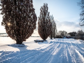 Winter