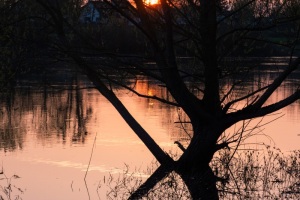 Hameln-20230409-185114-P4090238