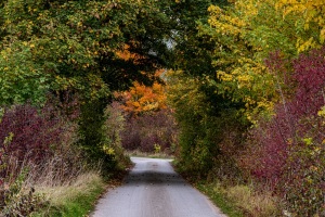 Tunnel