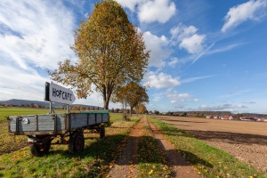 Hameln-20121026-121851-IMG_2012-10-26-12-18-51_57985