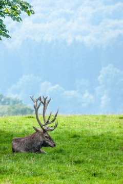 Tierpark Neuhaus
