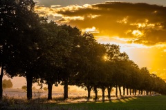 Goldener Sonnenuntergang