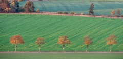 Herbst