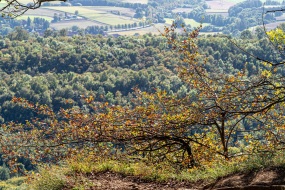 20190921-155644-_9210035