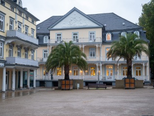Palmen
