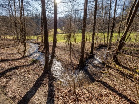 20210302-144717-_3020050