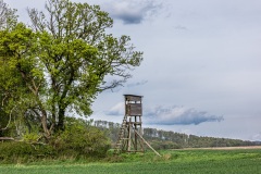 Ansitz
