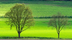 Frühling