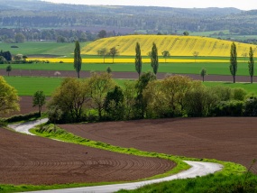 Weserbergland bei Börry