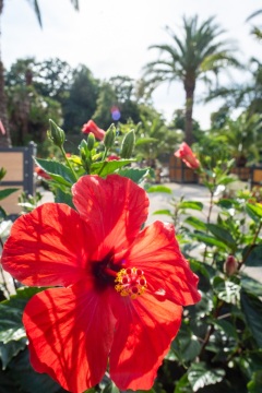 Kurpark Bad Pyrmont