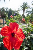 Kurpark Bad Pyrmont