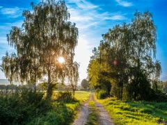 Herbst