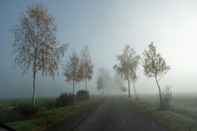 Nebel