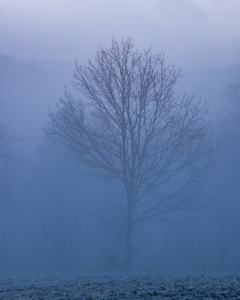 Nebel