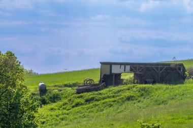 Schuppen