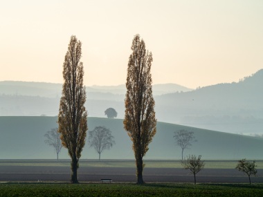 Emmerthal-20191110-163349-_B100138