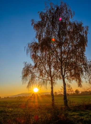Emmerthal-20221113-170810-_B130397