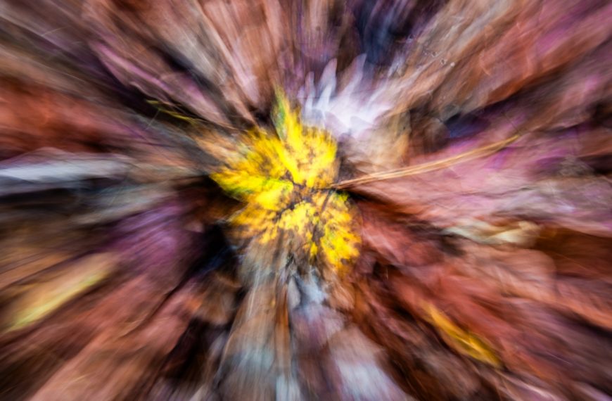 Intentional Camera Movement
